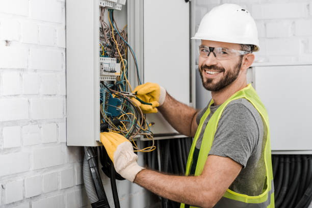 Best Electric Panel Repair  in Pecan Acres, TX